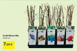 Carrefour Frutti Minori Mix offerta