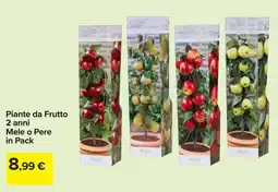 Carrefour Piante da Frutto 2 anni Mele o Pere in Pack offerta