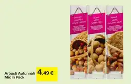 Carrefour Arbusti Autunnali Mix in Pack offerta