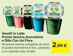 Carrefour Vasetti in Latta Pronto Semina Aromatiche e Dillo Con Un Fiore offerta