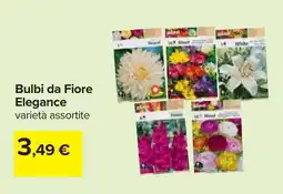 Carrefour Bulbi da Fiore Elegance offerta