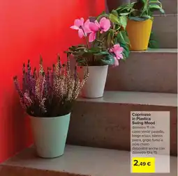 Carrefour Coprivaso in Plastica Swing Mood offerta