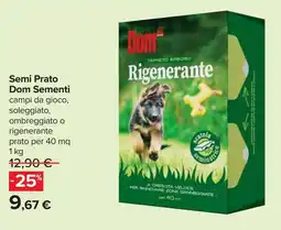 Carrefour Semi Prato Dom Sementi offerta