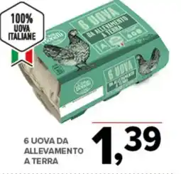 Todis 6 uova da allevamento a terra offerta