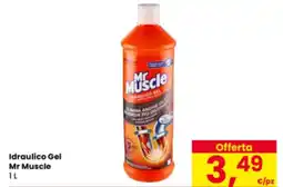Eurospar Idraulico Gel Mr Muscle offerta