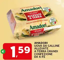 Extra Supermercati Amadori uova da galline allevate a terra grandi offerta