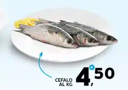 Extra Supermercati Cefalo al kg offerta