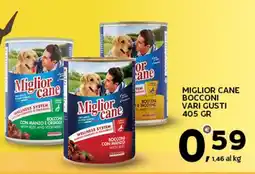 Extra Supermercati Miglior cane bocconi offerta