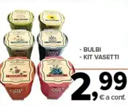 Todis Bulbi, kit vasetti offerta
