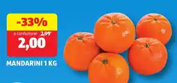 ALDI Mandarini offerta