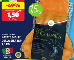 ALDI Regione che vai patate gialle della sila igp offerta