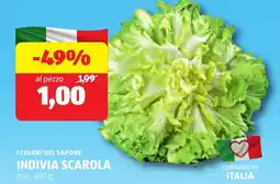 ALDI I colori del sapore indivia scarola offerta