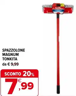 Iperal Spazzolone magnum TONKITA offerta