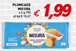 Coal Plumcake MISURA x 6 offerta