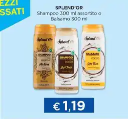 Acqua & Sapone SPLEND’OR offerta