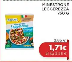 Coop MINESTRONE LEGGEREZZA 750 G offerta