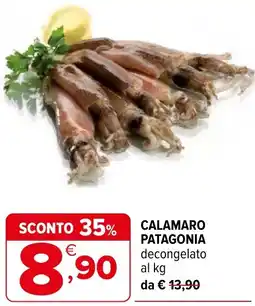 Iperal Calamaro PATAGONIA offerta