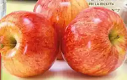 Coal Mele fuji offerta