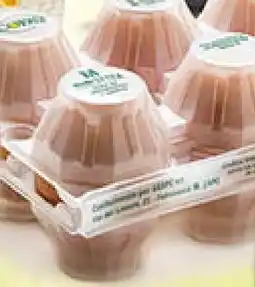 Coal Uova copav offerta