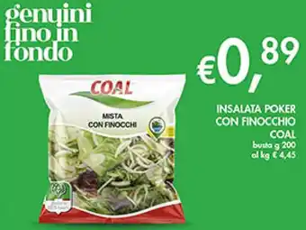Coal Insalata poker con finocchio COAL offerta