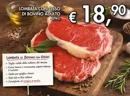 Coal Lombata con osso di bovino adulto offerta
