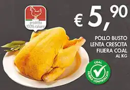 Coal Pollo busto lenta crescita filiera COAL offerta