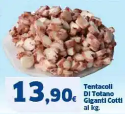 Sigma Tentacoll DI Totano Giganti Cotti offerta