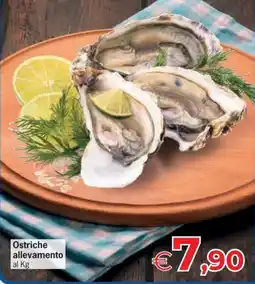 Despar Ostriche allevamento offerta