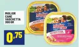 Risparmio Casa Miglior cane vaschetta offerta