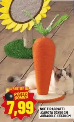 Risparmio Casa Noe tiragraffi, carota, girasole offerta