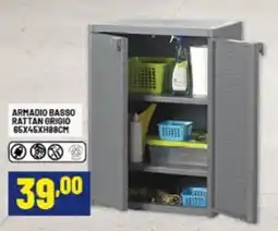 Risparmio Casa Armadio basso rattan grigio offerta