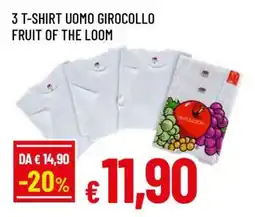 Famila 3 T-SHIRT UOMO GIROCOLLO FRUIT OF THE LOOM offerta