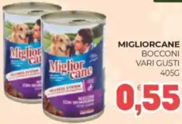 Eté Migliorcane bocconi offerta