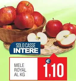 Caramico Mele royal offerta