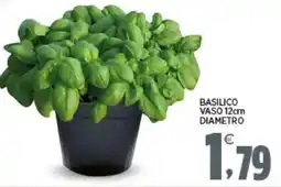 Interspar Basilico vaso 12cm diametro offerta