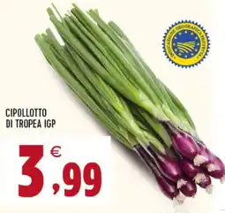 Interspar Cipollotto di tropea IGP offerta