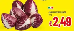 A&O Radicchio semilungo offerta