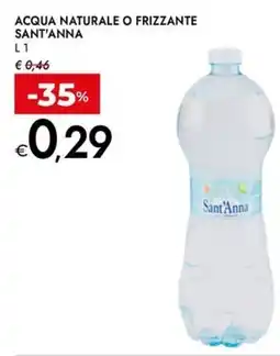 Bennet Acqua naturale o frizzante SANT'ANNA offerta