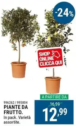Cfadda Piante da frutto offerta
