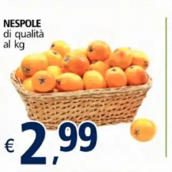 Alter Discount Nespole offerta