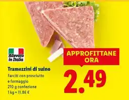 Lidl Tramezzini di suino offerta