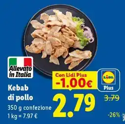 Lidl Kebab di pollo offerta