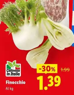 Lidl Finocchio offerta