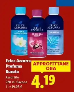 Lidl Felce Azzurra Profuma Bucato offerta