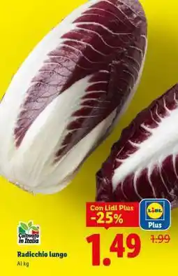 Lidl RADICCHIO LUNGO offerta