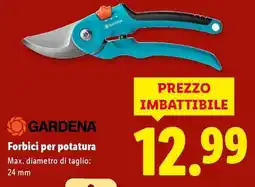 Lidl Forbici per potatura offerta