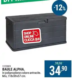 Cfadda Baule alpha offerta