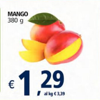 Alter Discount Mango 380g offerta