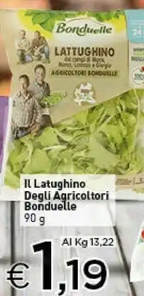 Il lattughino 90 g(ml)