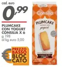 Italmark Plumcake con yogurt CONSILIA X6 offerta
